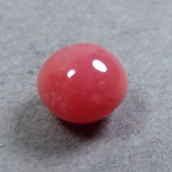 画像1: コンクパール(0.38ct)