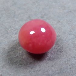 画像2: コンクパール(0.38ct)