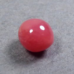 画像4: コンクパール(0.38ct)