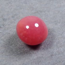 画像3: コンクパール(0.38ct)