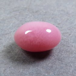 画像1: コンクパール(0.32ct)