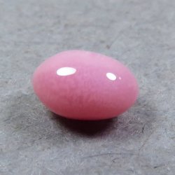 画像3: コンクパール(0.32ct)