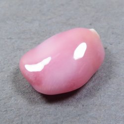 画像2: コンクパール(1.12ct)