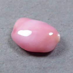 画像1: コンクパール(1.12ct)