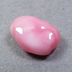 画像4: コンクパール(1.12ct)