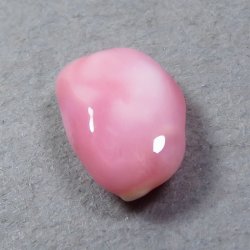 画像5: コンクパール(1.12ct)