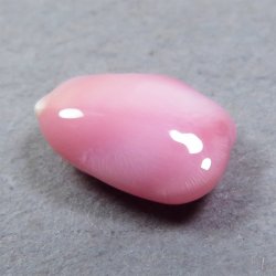 画像3: コンクパール(1.12ct)