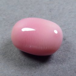 画像4: コンクパール(2.10ct)