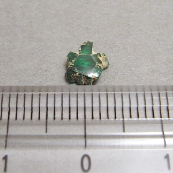 画像: エメラルド・トラピッチ(花型)(0.59ct)