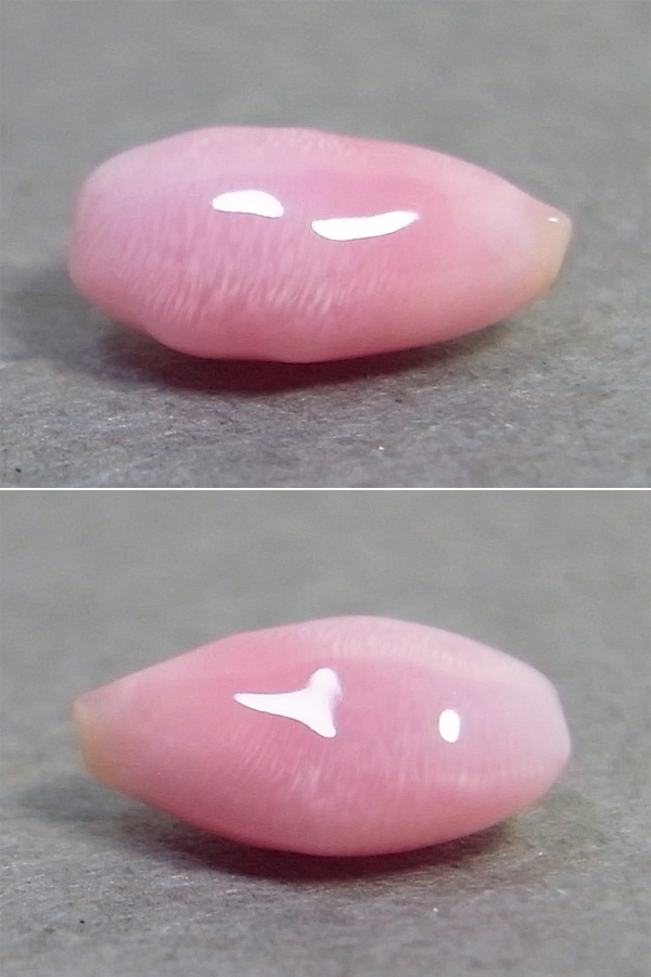 画像: コンクパール(0.61ct)