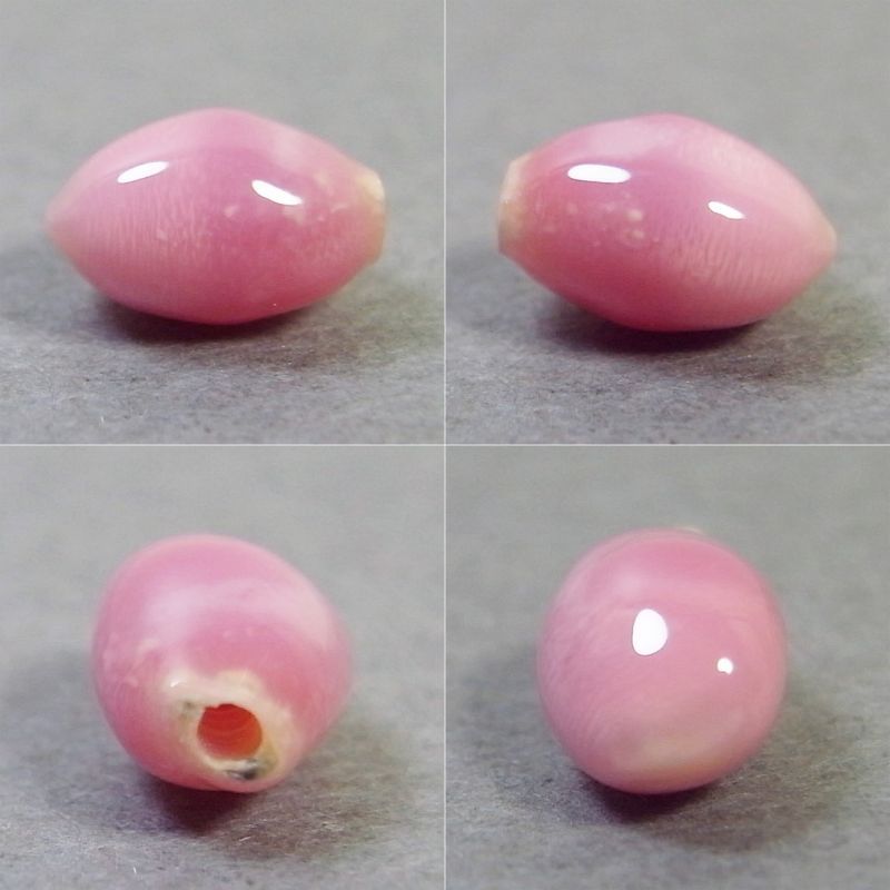 画像: コンクパール(片穴)(0.89ct)