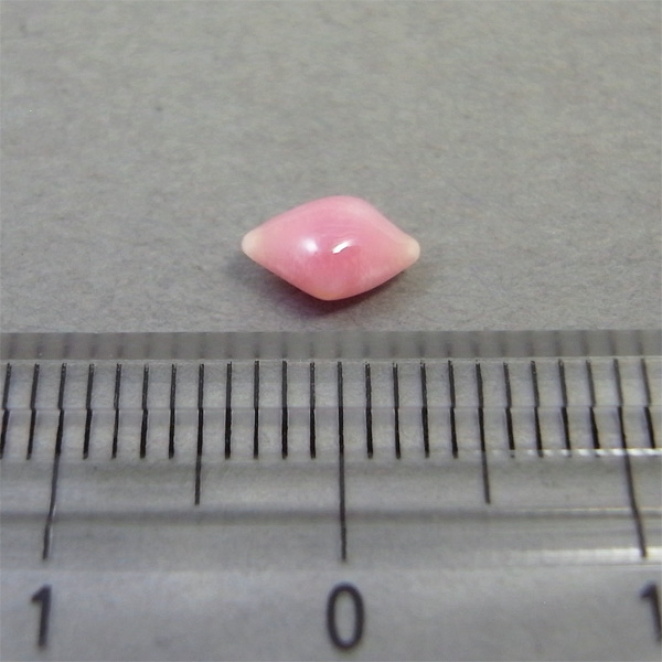 画像: コンクパール(0.60ct)