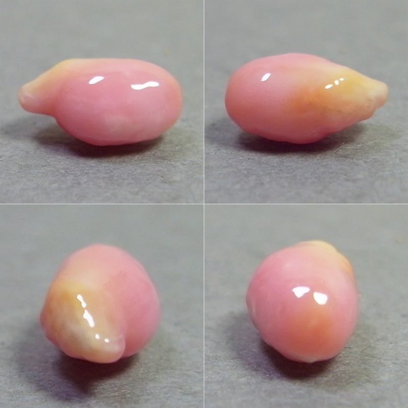 画像: コンクパール(1.30ct)