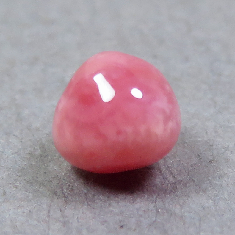 画像1: コンクパール(0.83ct)
