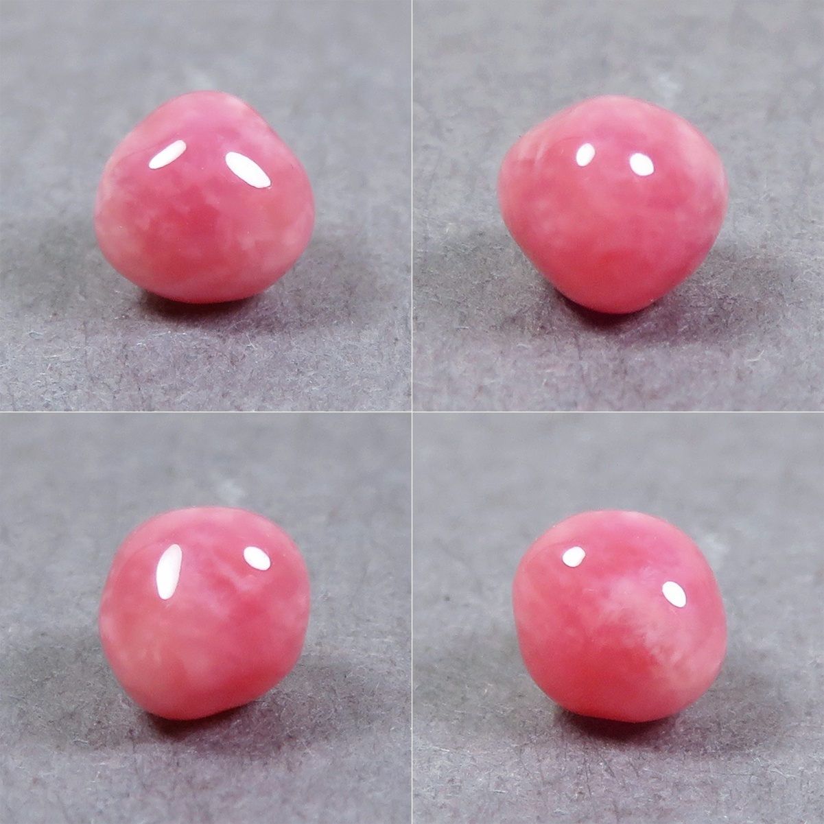 画像: コンクパール(0.83ct)