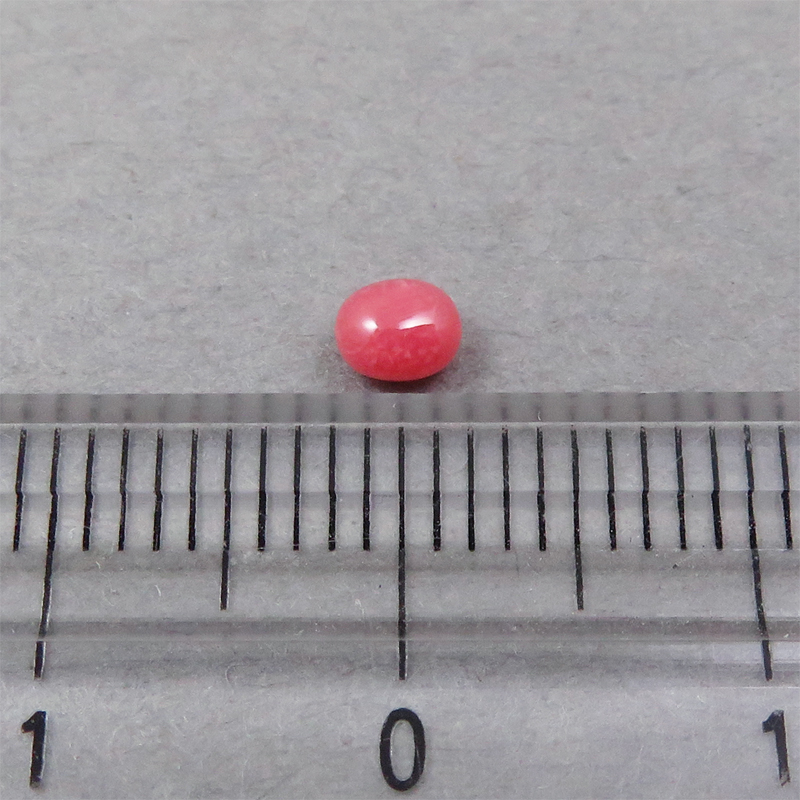 画像: コンクパール(0.26ct)