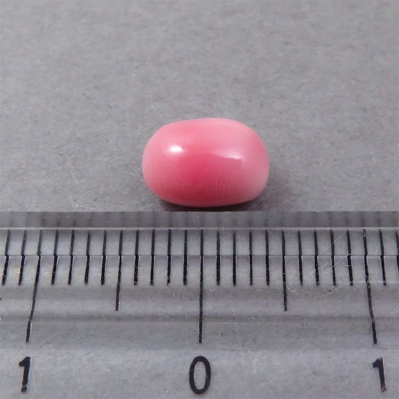 画像: コンクパール(2.10ct)