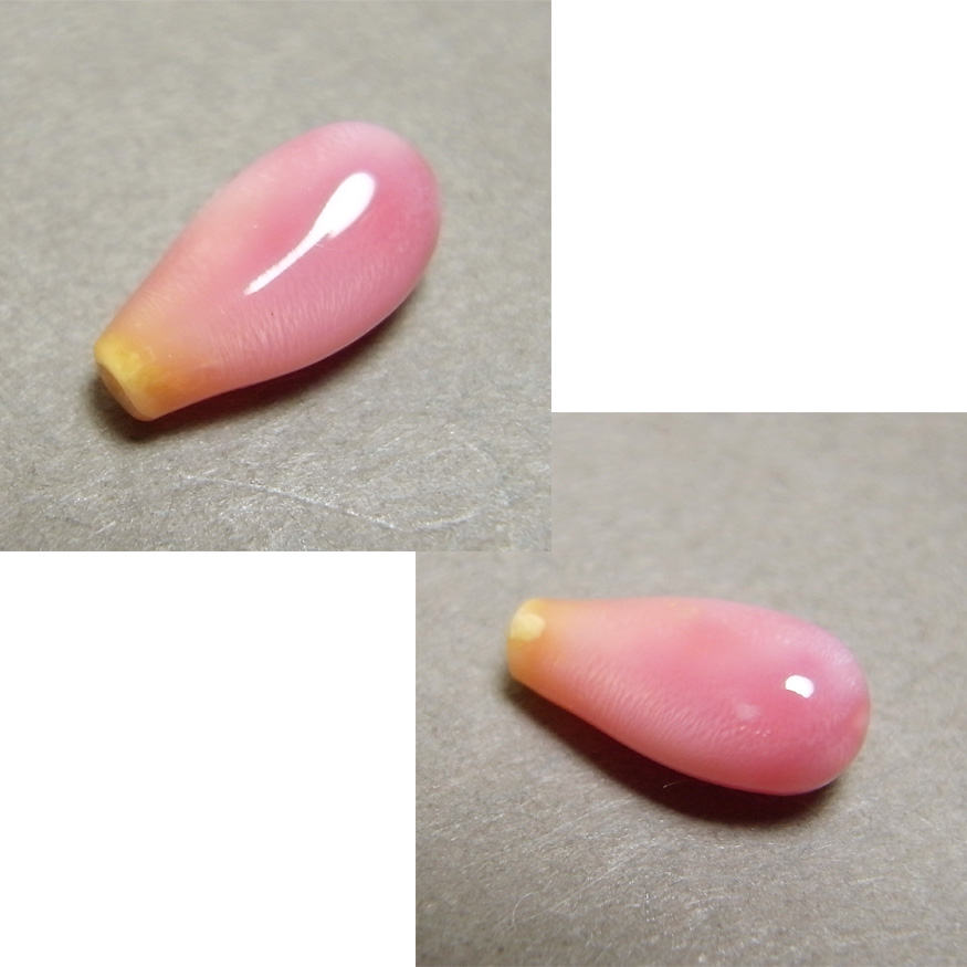 画像: コンクパール(片穴)(1.24ct)