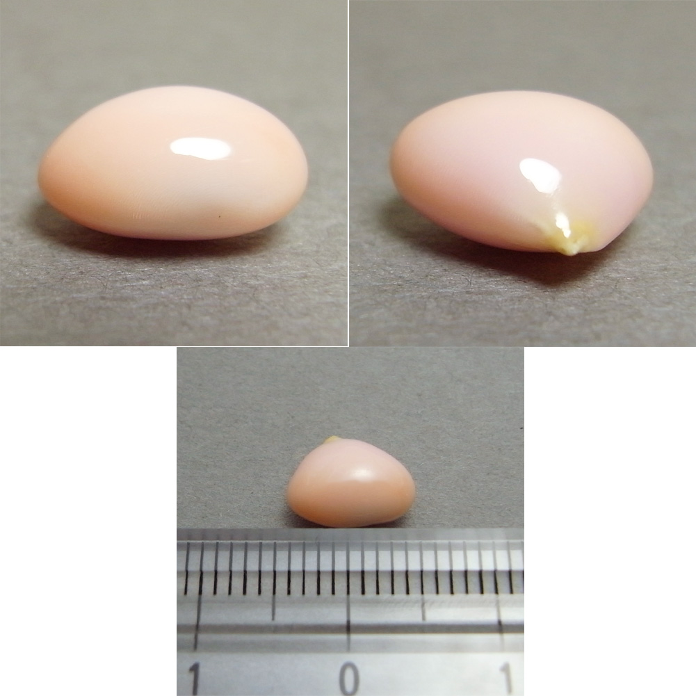 画像: コンクパール(2.13ct)